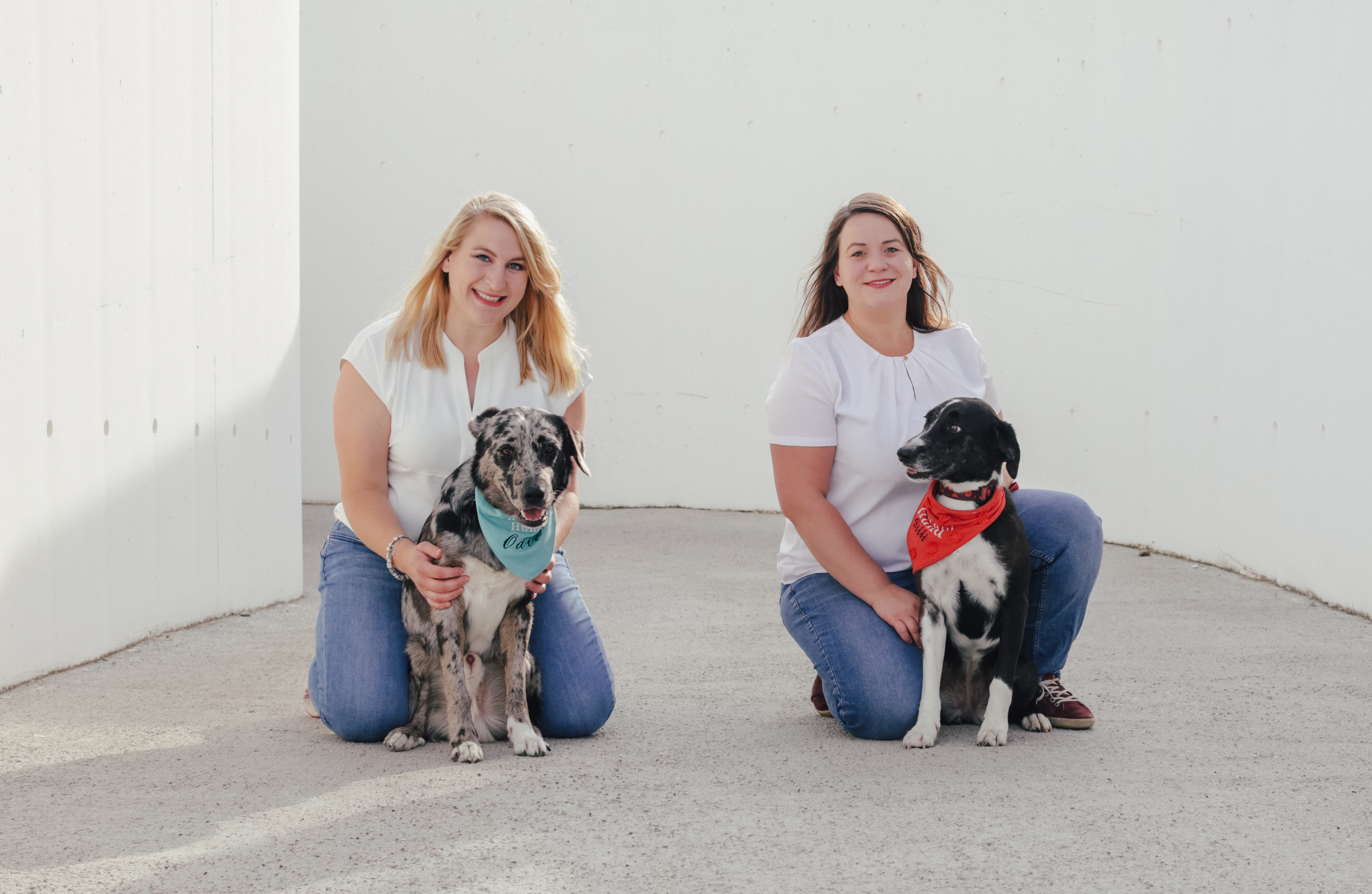 Zusatzleistungen -tiergestützte Therapie